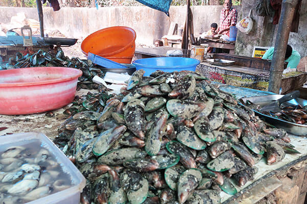 pile of mussels on a market stall